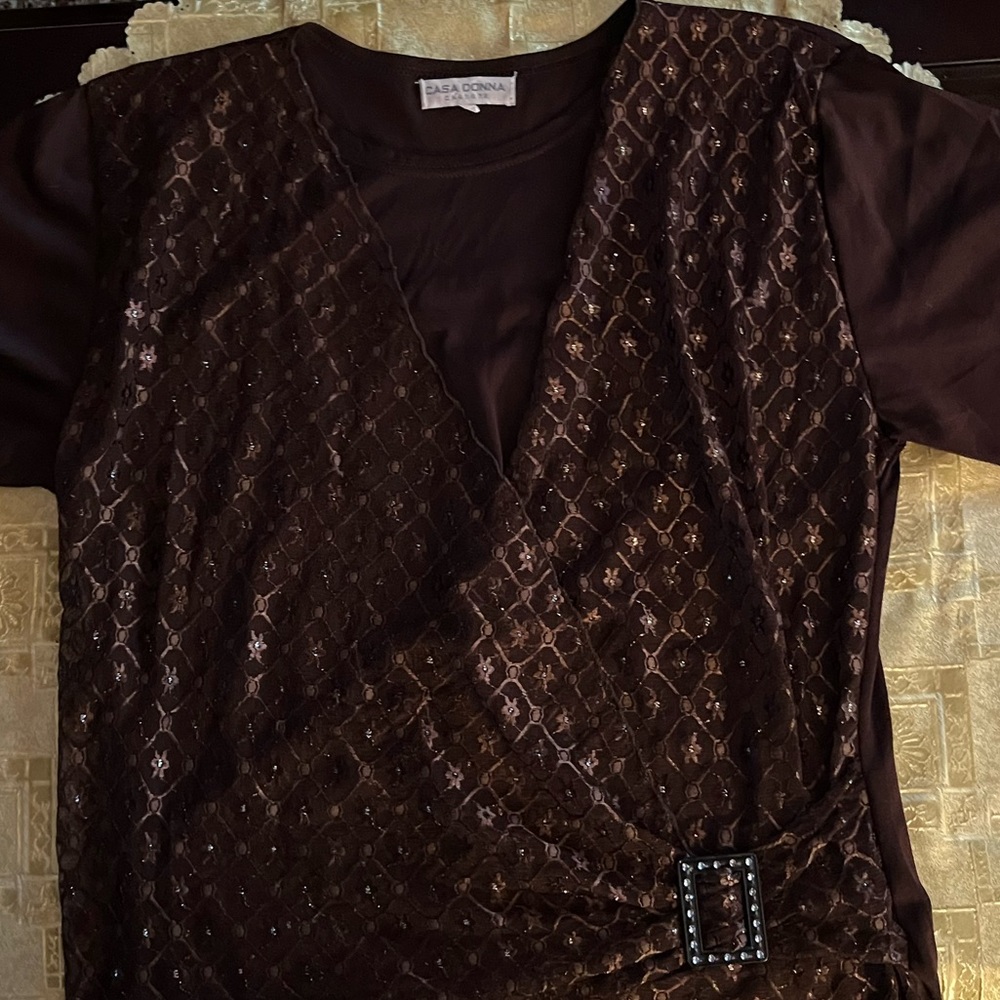 Women’s Brown Fashion Top Size Large built in shiny clip